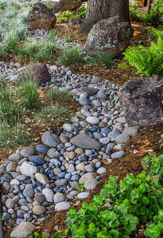 a river rock dry stream with grasses around is a cool and natural decor feature for a low water garden