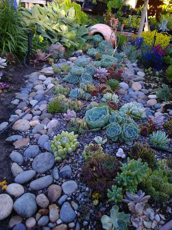 59 Catchy Outdoor Succulent Garden Ideas - DigsDigs