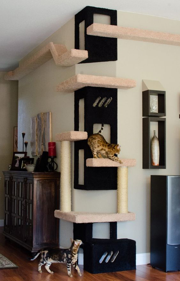 cat tree built into wall