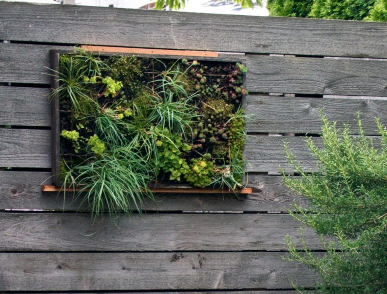 create a succulent vertical garden as an artwork and part of landscaping, it won't take much space