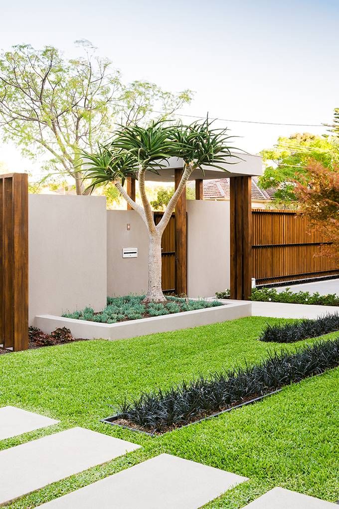 a manicured lawn, grasses, greenery and a tree with no blooms for a lacocnic and very neat look