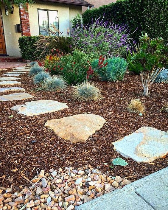 grasses of various kinds are perfect for growing them in low water gardens