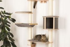 25 a wall-mounted cat treee of pltforms with upholstery and houses and jute covered posts to scratch them