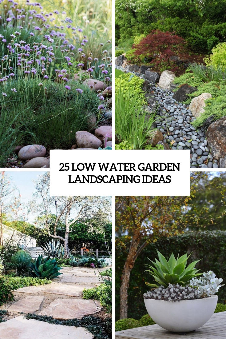 Low Water Front Yard Landscaping Ideas