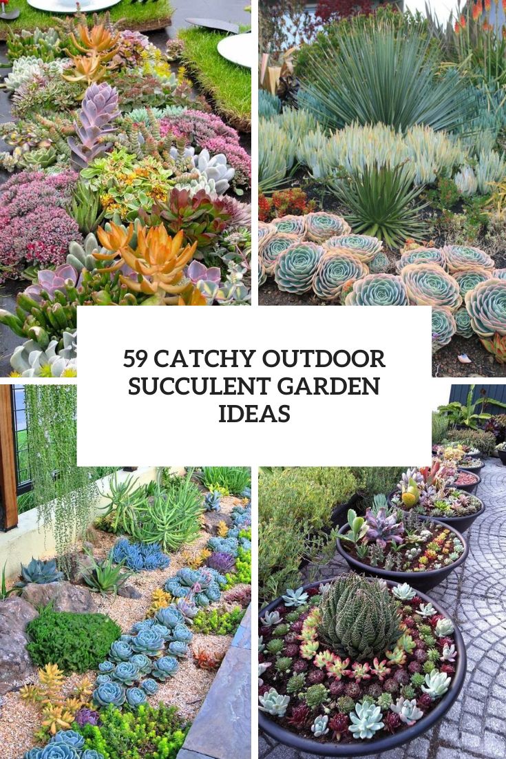 59 Catchy Outdoor Succulent Garden Ideas