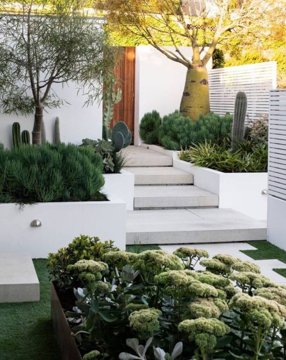 a bold modern front yard with stone steps and tall flower beds with succulents, cacti, trees and greenery has a wow effect