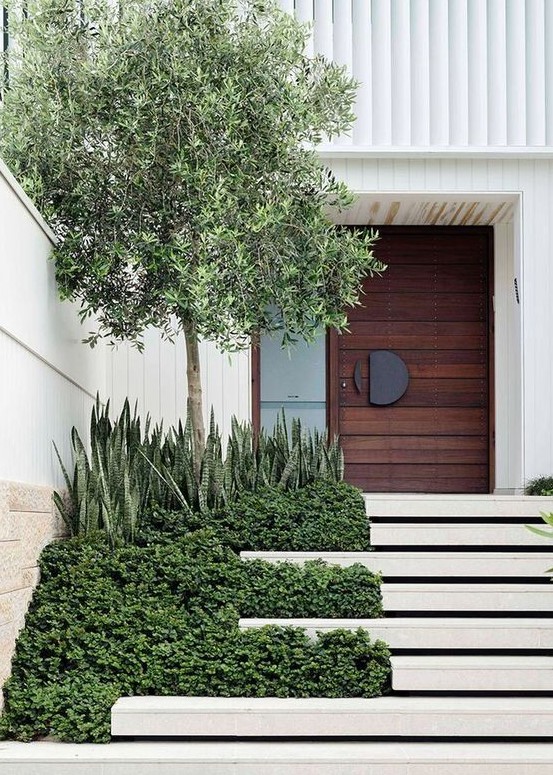 a bold modern front yard with white steps, greenery, succulents and a tree looks stylish, bold and chic