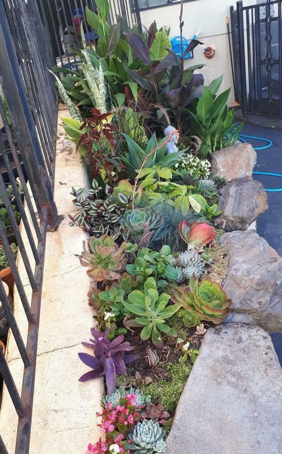 59 Catchy Outdoor Succulent Garden Ideas Digsdigs