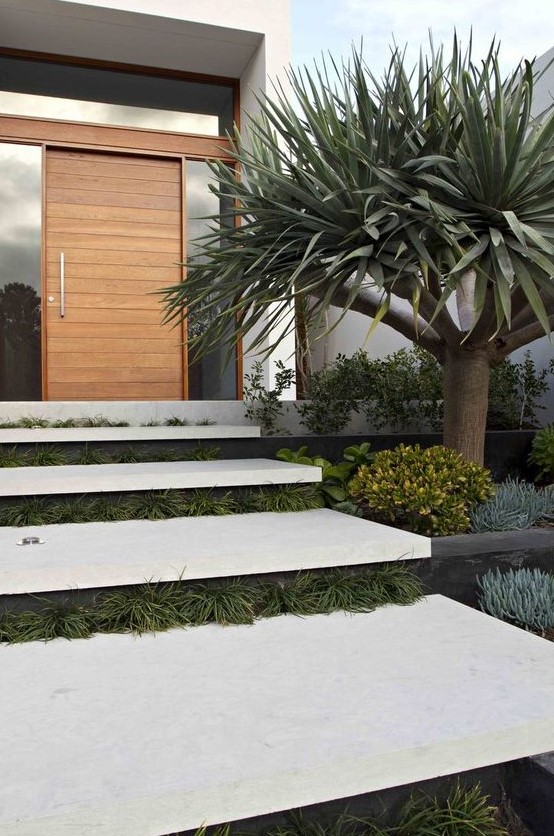 a desert-style modern front yard with greenery between the steps, greenery lining up the stairs and a large tree has a wow factor