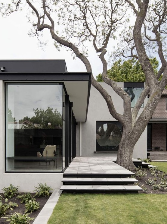 a fabulous modern front yard with grass, with greenery in low built-in flower pots, steps and a large living tree that makes a statement