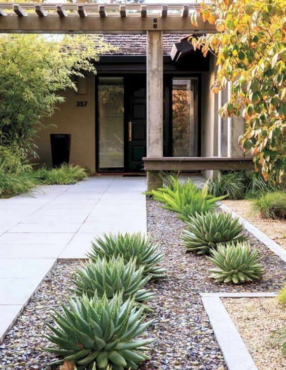a laconic modern front yard with a stone path and succulents, some tall shrubs and trees around is a paceful space