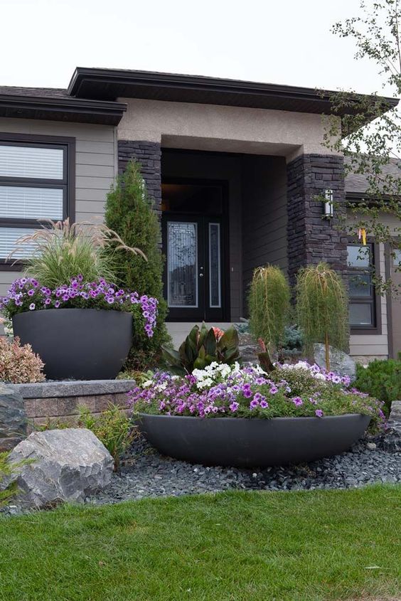a modern and bold front yard with gravel and rocks, with bold blooms in planters and some greenery is wow