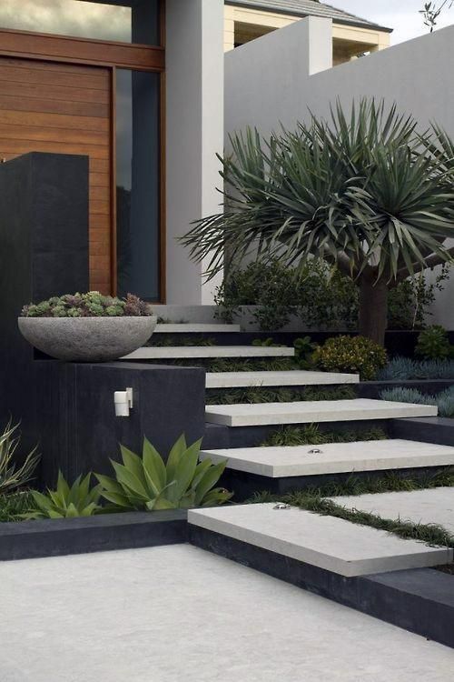 a modern and chic front yard with steps with greenery between, greenery and trees, a concrete bowl with succulents