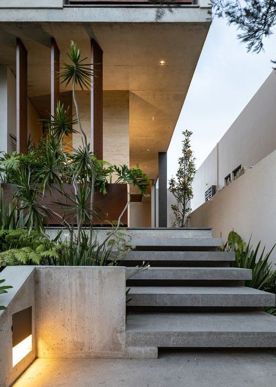 a modern front yard done with concrete for a sleek feel, with greenery and trees that refresh the sleek and minimal look of the yard