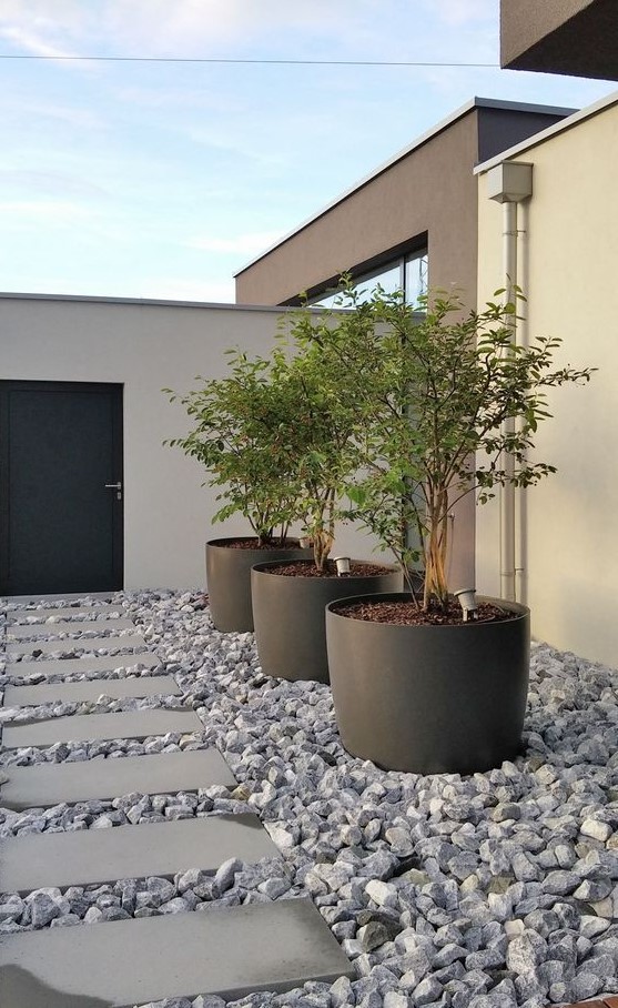 oversized black cup planters like these ones can accommodate a whole tree and give an edgy feel to the space