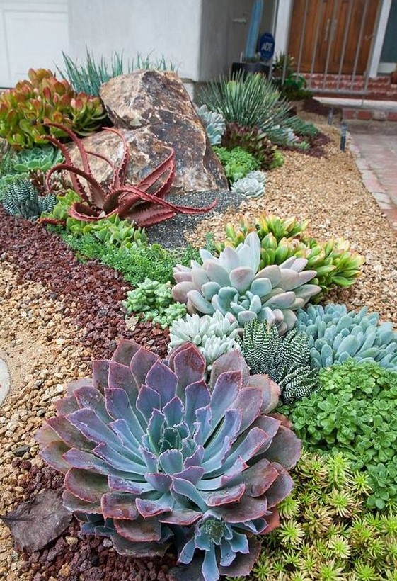 59 Catchy Outdoor Succulent Garden Ideas - DigsDigs