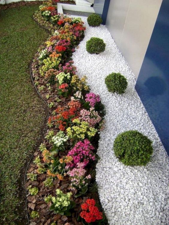 Image of Living edging garden