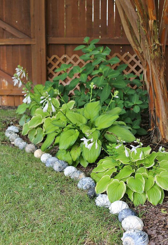 40 Stylish And Inspiring Garden Edging Ideas - DigsDigs