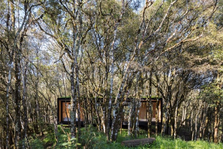 The cabin is clad with black panels and its roof is grassy to make standing out from the terrain minimal