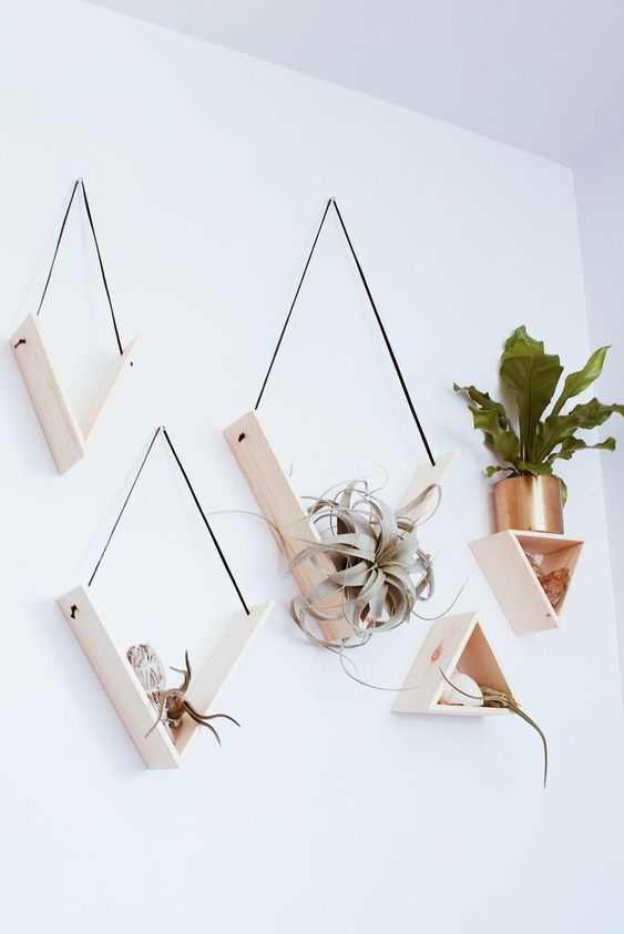 creative minimalist shelves with sleek triangular shapes and air plants will be a perfect wall garden
