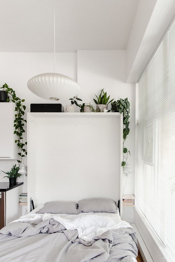 a contemporary sleeping space with a Murphy bed and potted greenery on the upper part of it