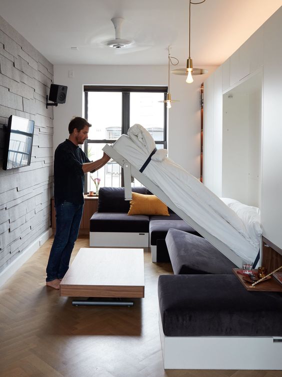 a minimalist living room with a built-in Murphy bed to turn the space into a bedroom when needed