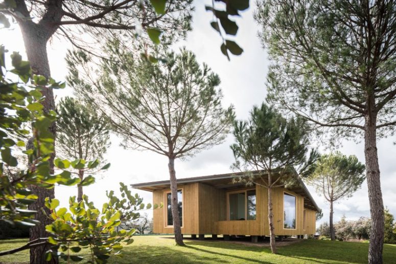 This contemporary home extension seems to be floating over the ground as the timber, with which is clad doesn't reach the ground