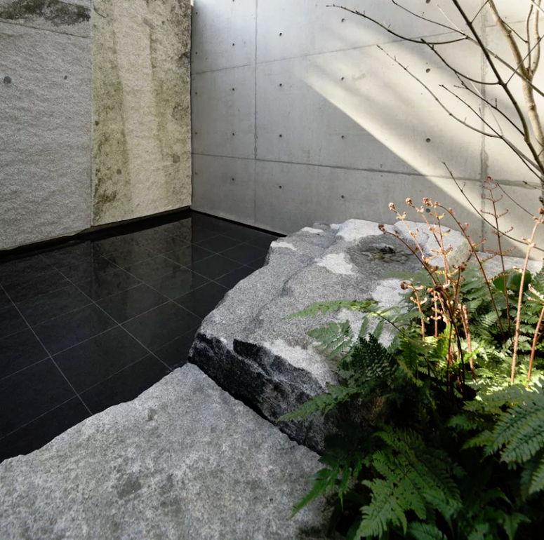 The inner patio is done with sleek black tiles, ferns, a tree and natural rocks that contrast the tiles very much The inner patio is done with sleek black tiles, ferns, a tree and natural rocks that contrast the tiles very much