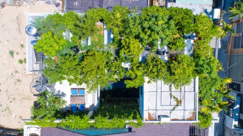 This contemporary home features fruit trees on the roof that are planted instead of greenery that was cut to build it This contemporary home features fruit trees on the roof that are planted instead of greenery that was cut to build it