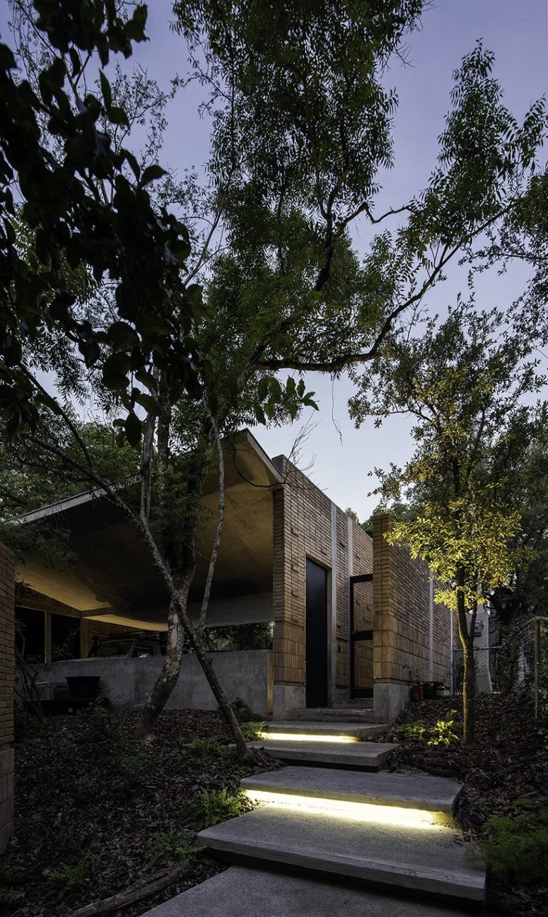 Contemporary Forest House With A Minimal Footprint