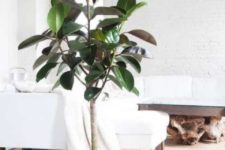 21 a statement plant in a white pot that matches the space and makes it feel and look much more natural