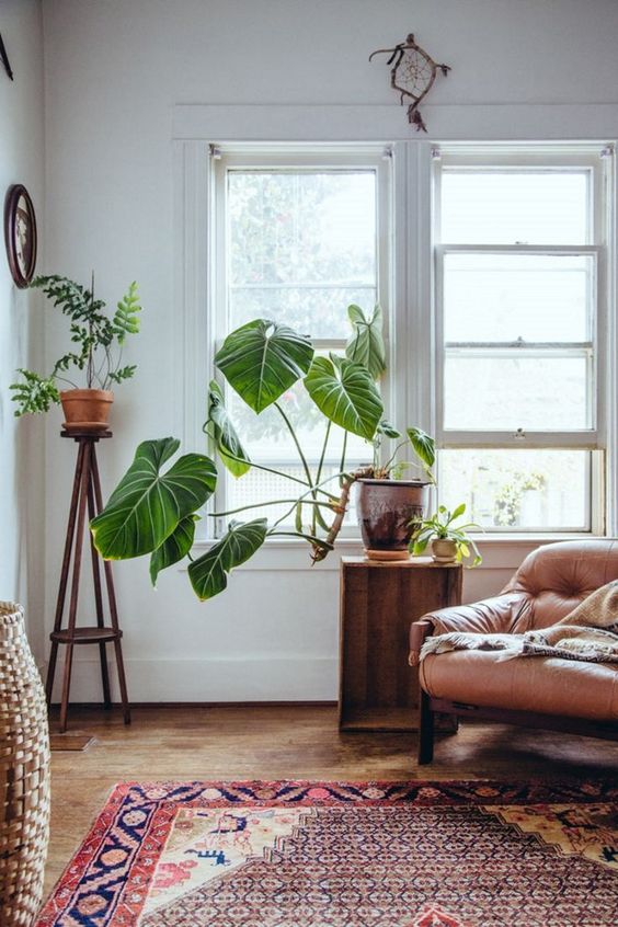 you can place your statement plant not only on the floor but also on a stand if it's not that large