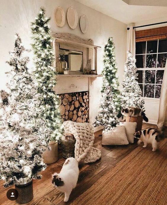 a cozy Christmas space with four flocked Christmas trees with lights looks really magical and very welcoming