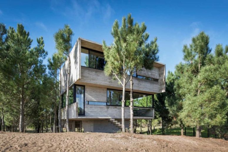 The house hovers in the pines and they were not injured while building this holiday dwelling