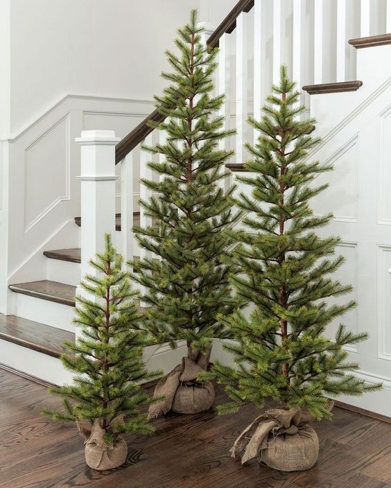a trio of undecorated Christmas trees wrapped in burlap is a nice decor solution to add a natural and rustic touch