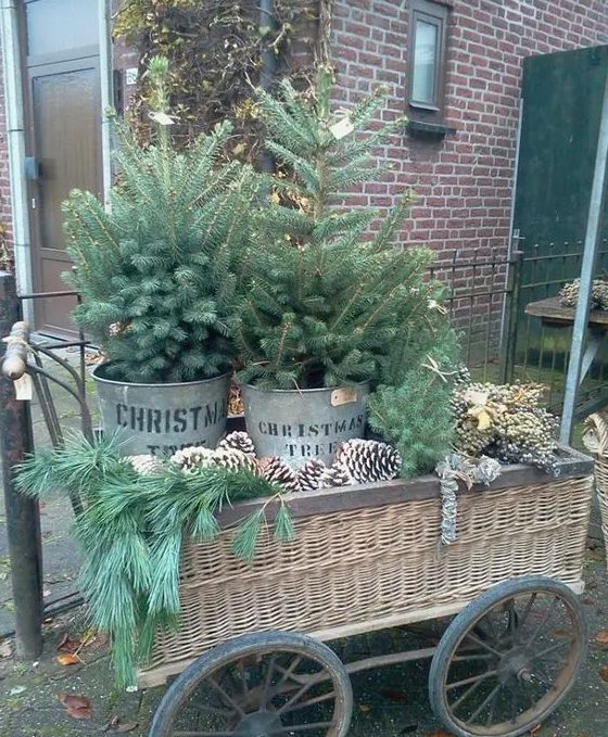 a wicker trolley display with oversized pinecones, evergreens and two trees in buckets