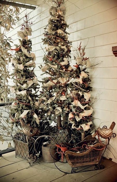 multiple Christmas trees with ribbons, beads, branches and pinecones are amazing for holiday decor