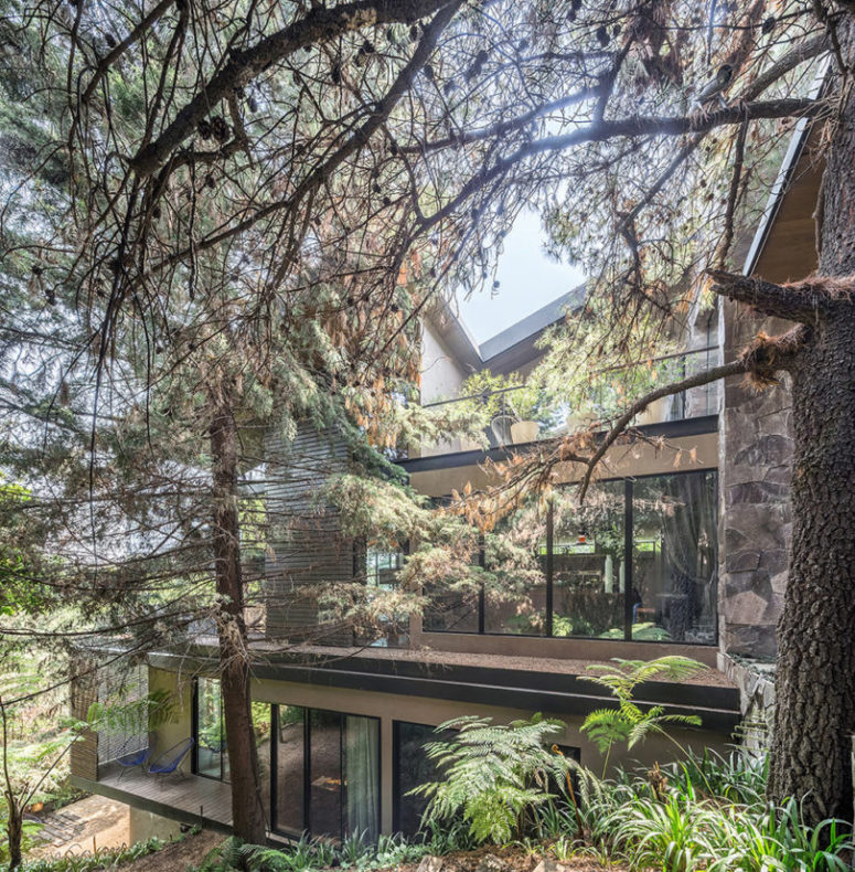 Los Helechos house is a cool contemporary house placed in the woods in Mexico