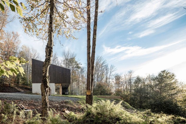 The home is a real woodland retreat, a cool escape house to relax and stay close to nature