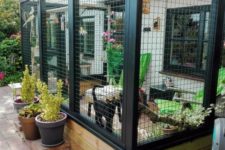 14 a stylish and simple cat enclosure with potted greenery and flowers and furniture for both humans and cats
