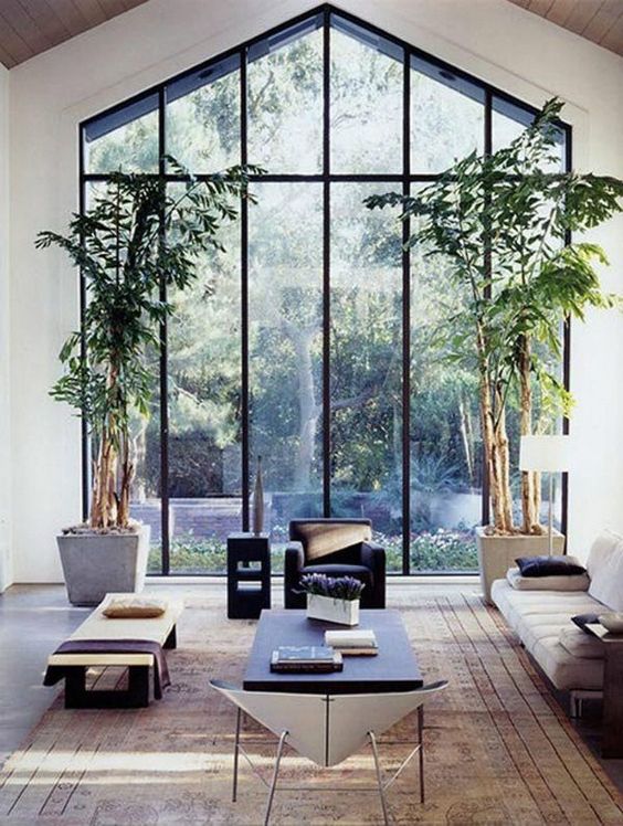 biophilic decor