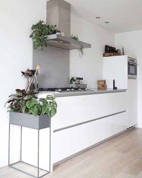 a minimal Nordic kitchen with sleek white cabinetry, a concrete countertop and backsplash, potted plants to refresh the space