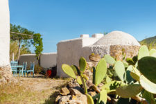 09 A small cactus garden is also here, and it adds a cool and natural feel to the space