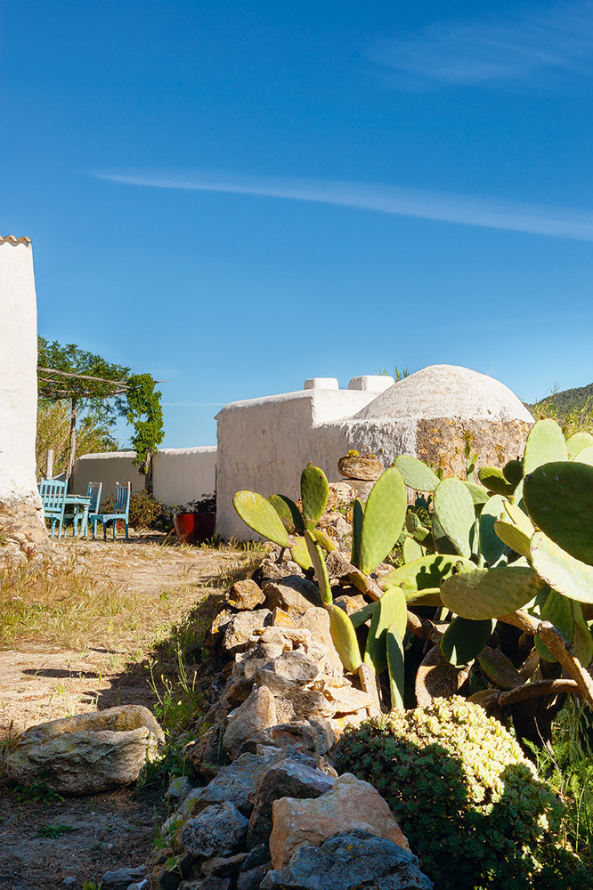 A small cactus garden is also here, and it adds a cool and natural feel to the space