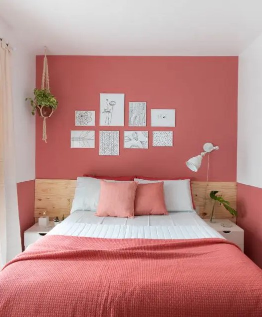 a small and bold bedroom with a salmon pink accent wall plus matching bedding, some potted plants and a cool white sconce is pure chic