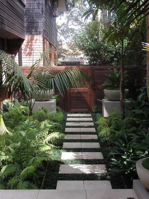 a small and lush tropical garden with lots of greenery, ferns and tropical plants in pots and on the ground