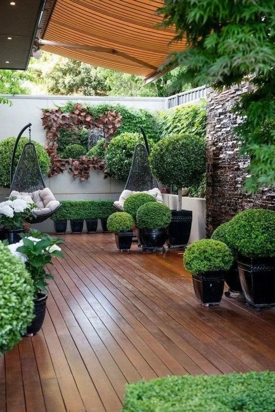a small contemporary garden with lots of greenery in planters, some shrubs, greenery on the walls and suspended chairs