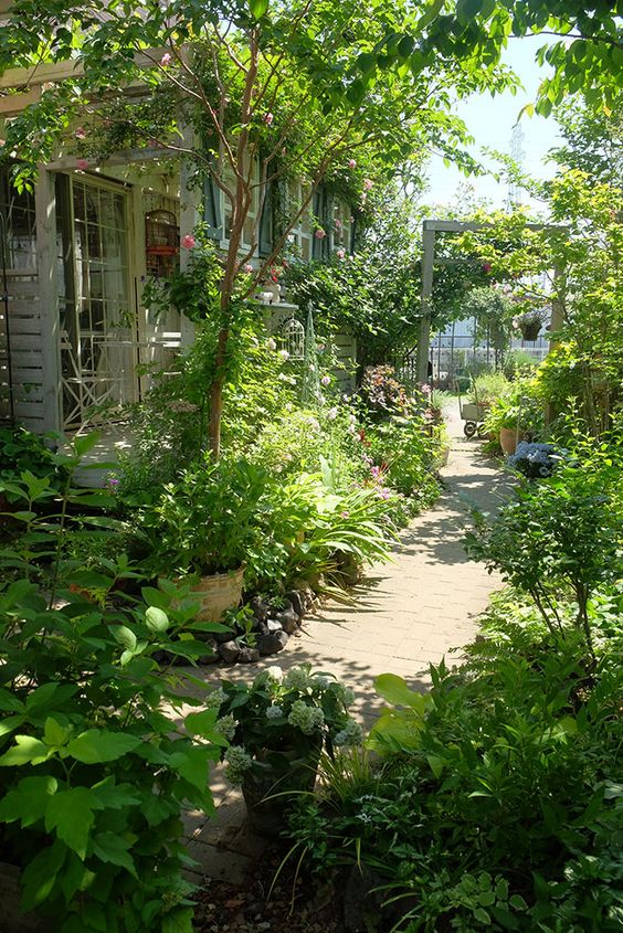 a small garden with greenery, shrubs, flowers, small trees and plants in pots plus an arch with climbing greenery