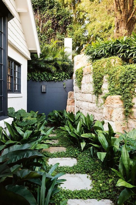 a small modern garden nook with greenery, some lush tropical shrubs on both sides of the pavement