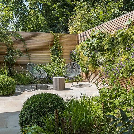 a small modern garden with lush grasses, some shrubs and some climbing greenery plus a whole living wall